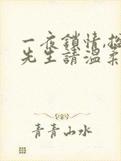 一夜锁情,总裁先生请温柔全文免费阅读