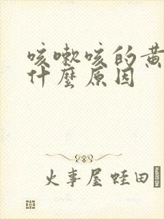 咳嗽咳的黄痰是什么原因