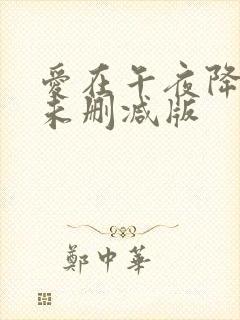 爱在午夜降临前未删减版
