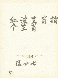 红波生肖指哪四个生肖