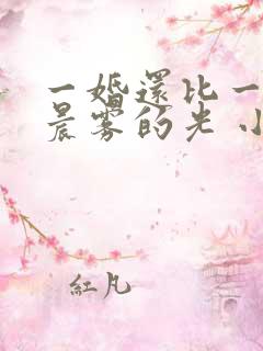一婚还比一婚高晨雾的光 小说