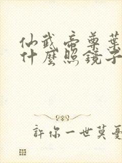 仙武帝尊叶辰为什么照镜子看不见自己
