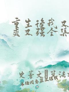 重生后我又飒又爽又强全集