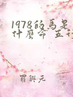 1978的马是什么命 五行属什么