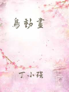 鸟动画
