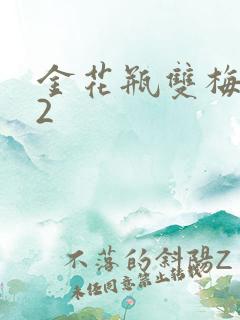 金花瓶双梅花12