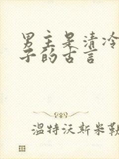 男主是清冷贵公子的古言