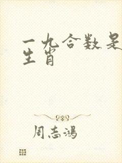 一九合数是什么生肖