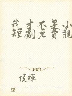 我才不是小可怜短剧免费观看全集