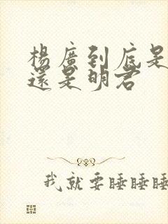 杨广到底是昏君还是明君