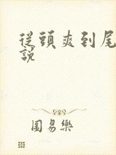 从头爽到尾的小说