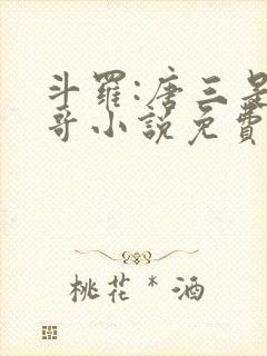 斗罗:唐三是我哥小说免费阅读