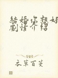 结婚你想好了么剧情介绍