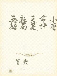 无敌天命小说大结局是什么
