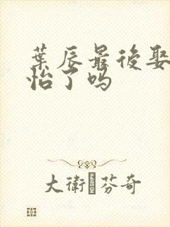 叶辰最后娶顾秋怡了吗