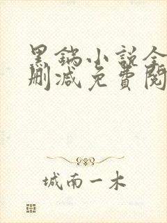 黑锅小说全文无删减免费阅读