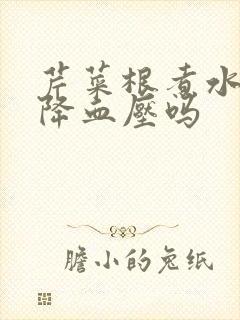 芹菜根煮水可以降血压吗