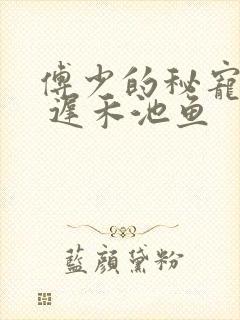 傅少的秘宠娇妻 迟禾池鱼