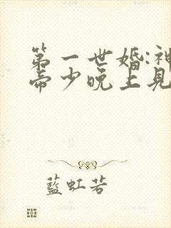 第一世婚:神秘帝少晚上见小说