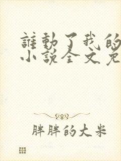 谁动了我的老婆小说全文免费阅读一