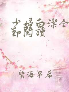 少妇白洁全文章节阅读