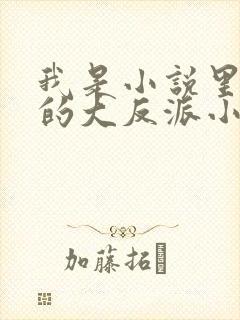 我是小说里共同的大反派小说免费