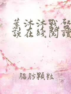 叶沐沐战启胤小说在线阅读