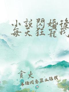 小说闪婚后大叔每天狂宠我免费阅读