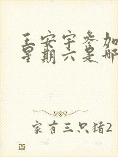 王安宇参加你好星期六是哪一期