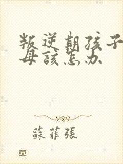 叛逆期孩子骂父母该怎办