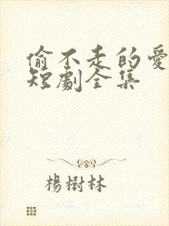 偷不走的爱与光短剧全集