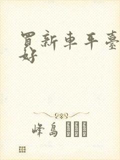 买新车平台哪个好