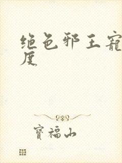 绝色邪王宠妻无度