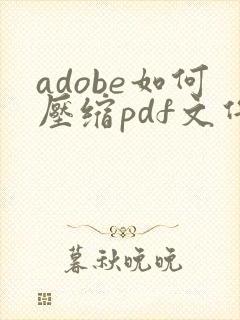 adobe如何压缩pdf文件大小在2m以内