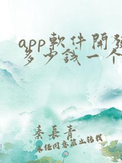 app软件开发多少钱一个月