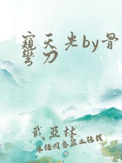 窥天光by骨色弯刀