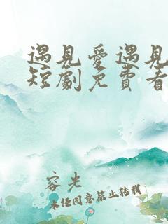 遇见爱遇见幸福短剧免费看