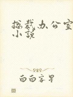 总裁办公室爱爱小说