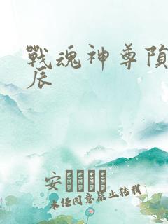 战魂神尊陨落星辰