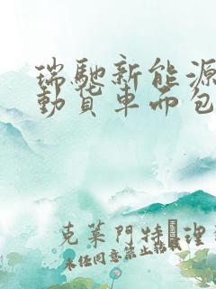 瑞驰新能源纯电动货车面包车