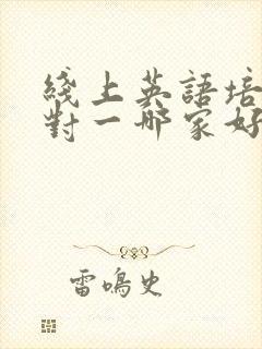 线上英语培训一对一哪家好
