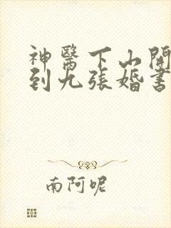 神医下山开局得到九张婚书