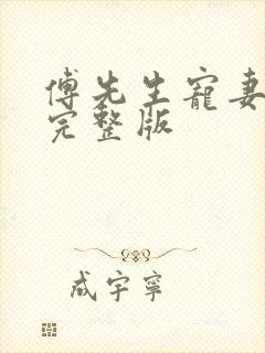 傅先生宠妻无度完整版