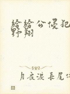 给给公侵犯了西野翔