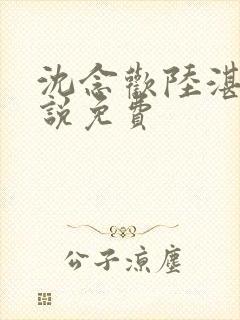 沈念欢陆湛北小说免费