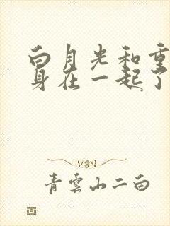 白月光和重生替身在一起了小说
