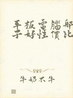 平板电脑哪个牌子好性价比高