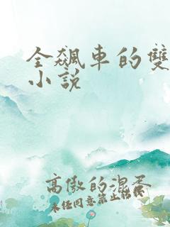 全飙车的双男主小说