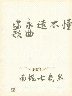 你永远不懂我 歌曲
