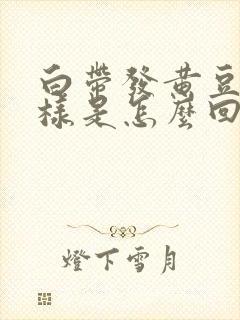 白带发黄豆腐渣样是怎么回事